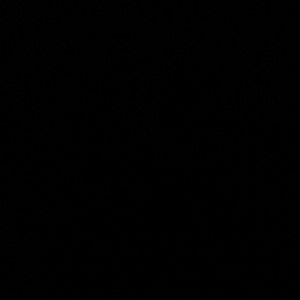 Olympic National Park | Camping and Beach Towel